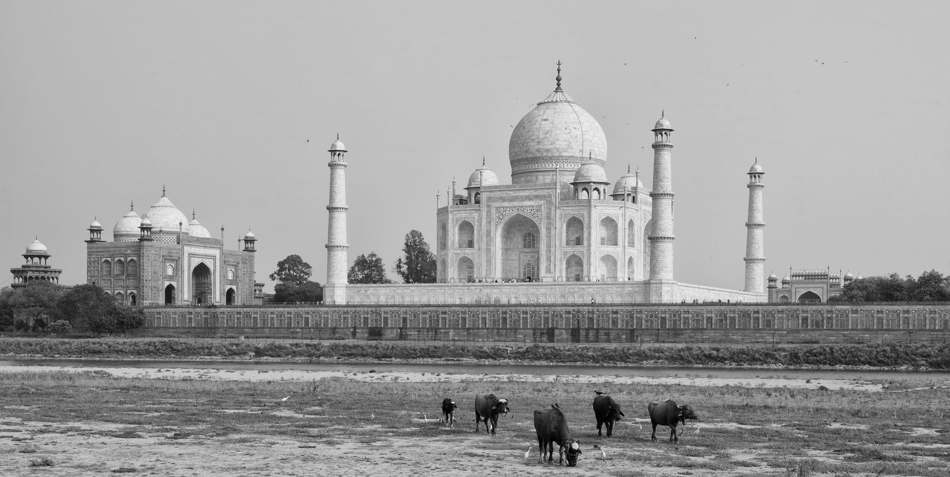 DSC_4743B